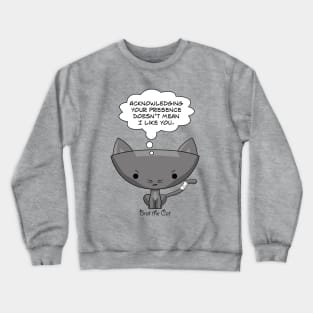 Doesn't Mean I Like You. Crewneck Sweatshirt